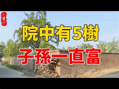 後院種什麼樹|在家種什麼樹比較好？專家親自挑選六種絕佳推薦 